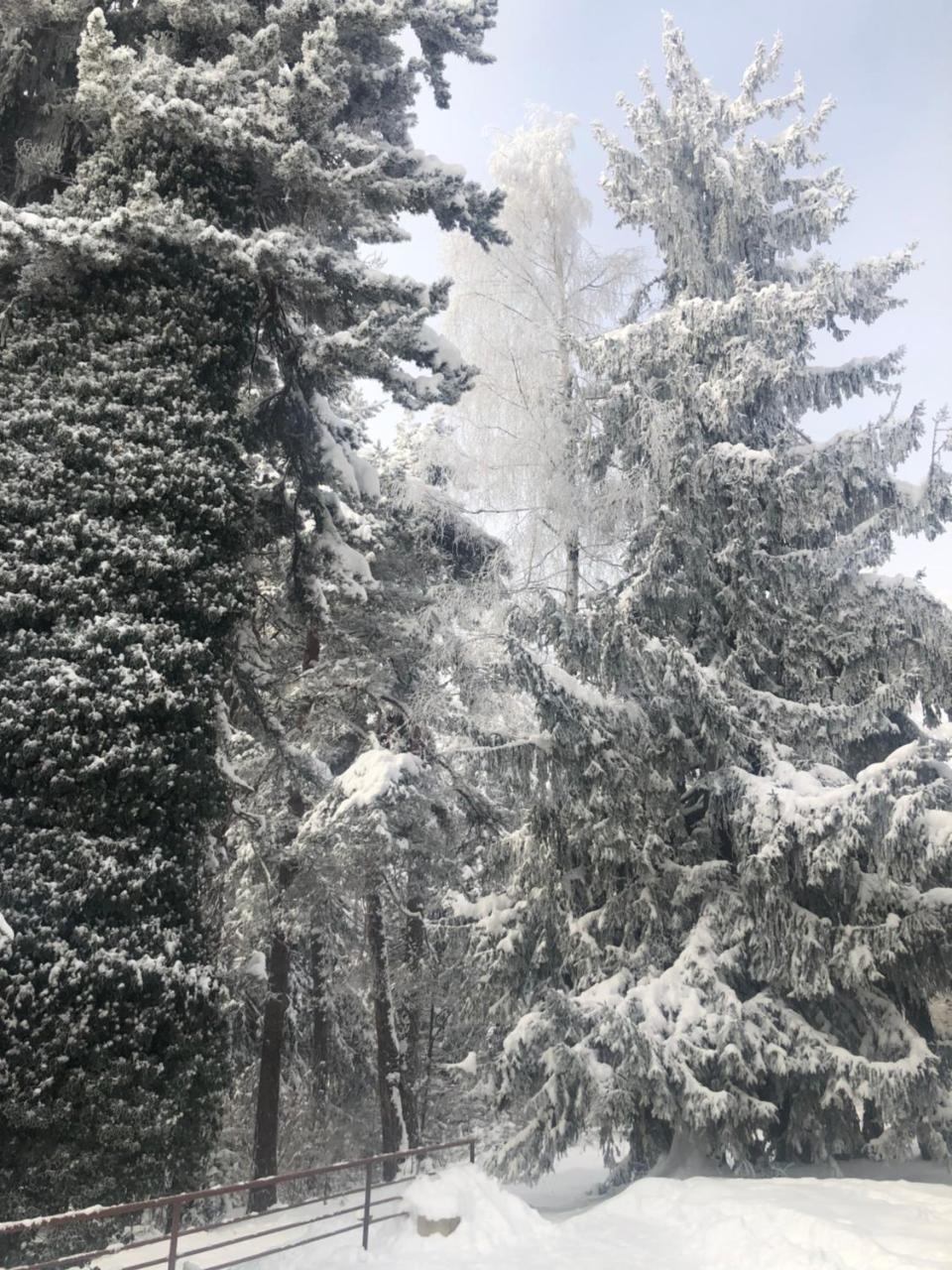 Hotel Bor Borovets Eksteriør bilde